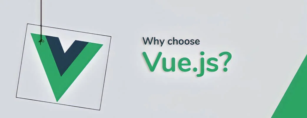why choos vue js