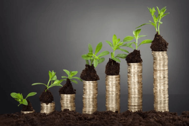 5 Stages of A Startup: All You Need to Know — QIT