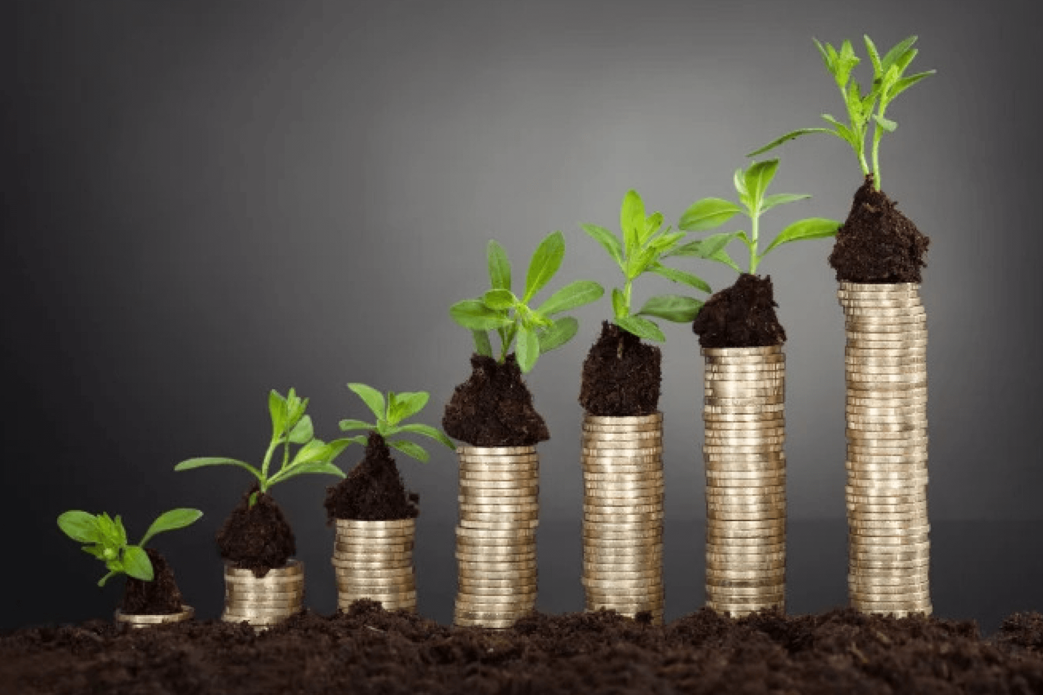 "5 Stages of A Startup: All You Need to Know — QIT"