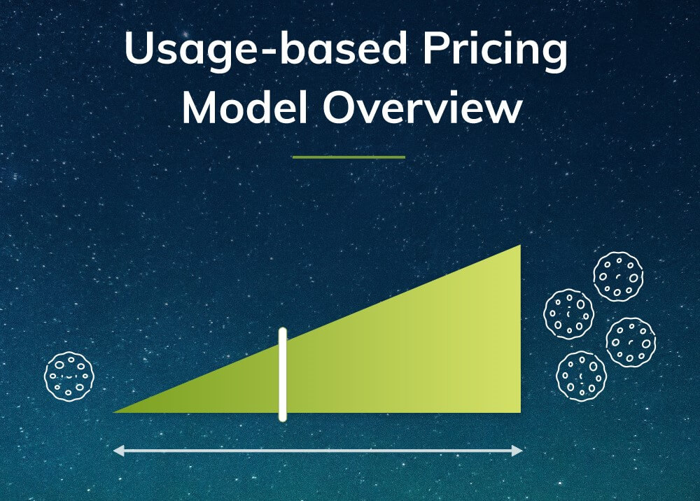 usage-based pricing model